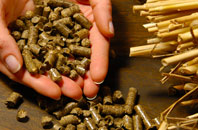 free Sancreed biomass boiler quotes